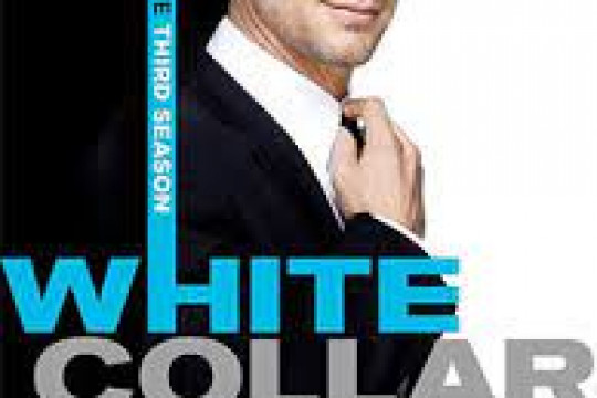 WHITE - COLLAR